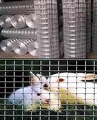 PVC涂塑圍欄網(wǎng)-06