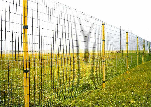 養(yǎng)殖圍欄網(wǎng)-06